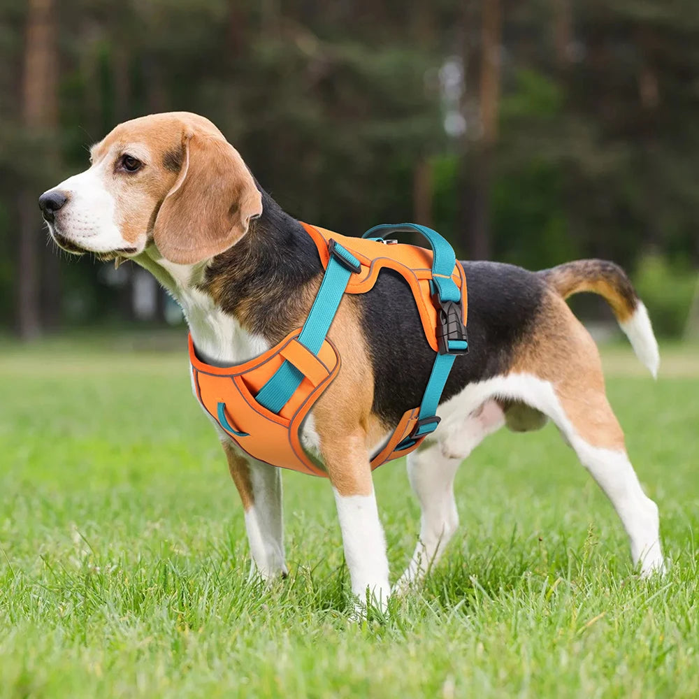 Breathable Reflective Dog Harness